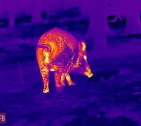 tfb review infiray outdoor s tube ts60 thermal scope hd thermal