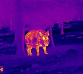 tfb review infiray outdoor s tube ts60 thermal scope hd thermal