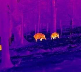 tfb review infiray outdoor s tube ts60 thermal scope hd thermal