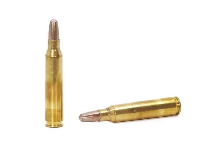 Practice Time! Liberty Ammunition Introduces New Steel Plate And Range ...