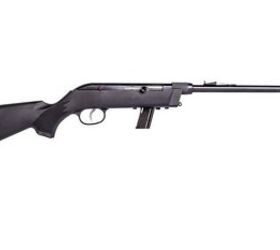 Savage arms rimfire