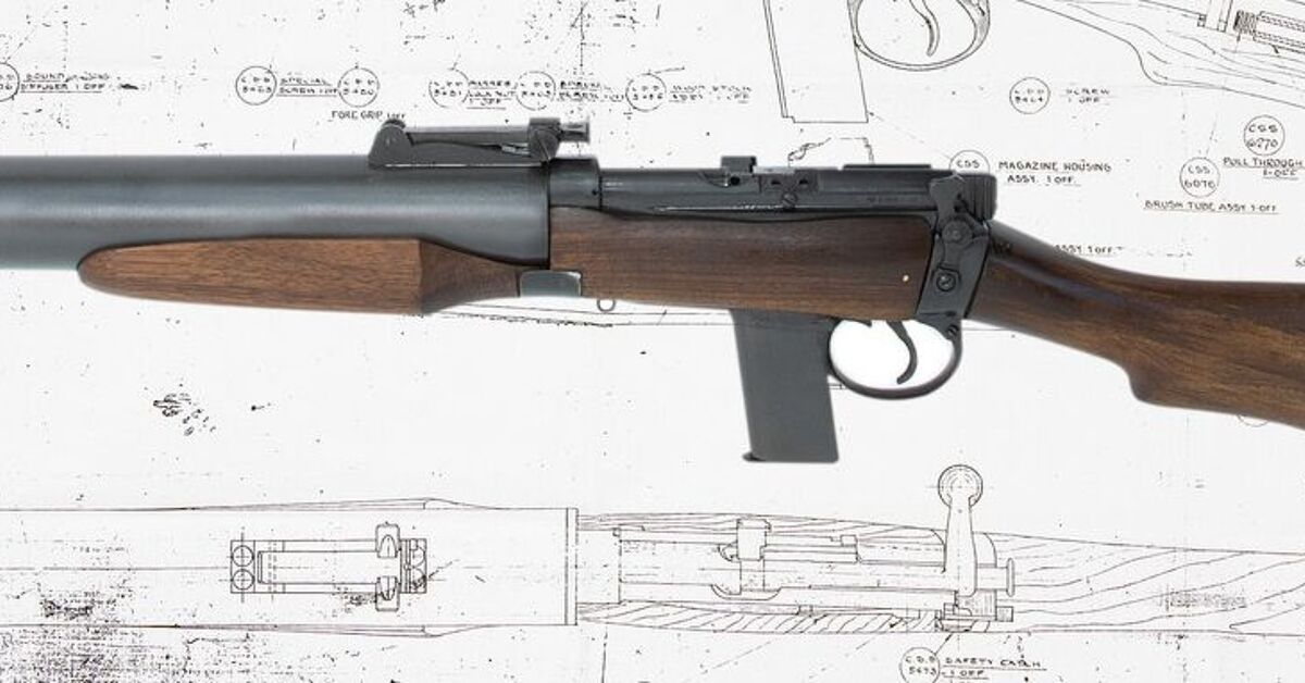 www.thefirearmblog.com