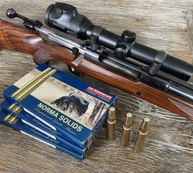 POTD: The Norma Solids - .416 Rigby 400gr in Ruger M77