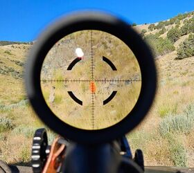 Reticle illumination off, 10x magnification showing a ⅔ torso plate at about 180 yards