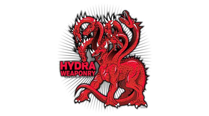 Hydra Structure A New Look At The Architecture And Dynamics Of The