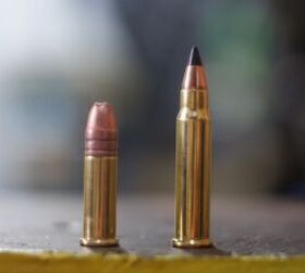 the rimfire report why aren t 17hmr 22wmr more popular