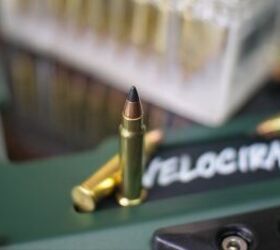 the rimfire report why aren t 17hmr 22wmr more popular