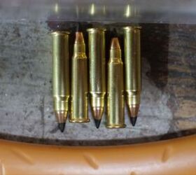 the rimfire report why aren t 17hmr 22wmr more popular