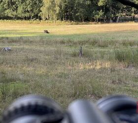 tfb review pulsar merger lrf xt50 1280x1024 hd thermal binoculars