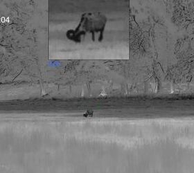 tfb review pulsar merger lrf xt50 1280x1024 hd thermal binoculars