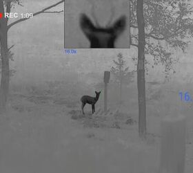 tfb review pulsar merger lrf xt50 1280x1024 hd thermal binoculars