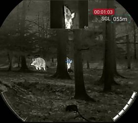 tfb review nocpix ace h50r thermal riflescope