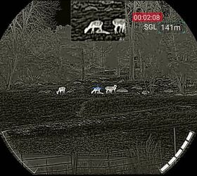 tfb review nocpix ace h50r thermal riflescope