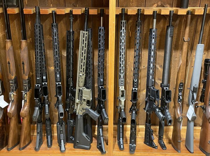 ar15s for hunting europe vs usa