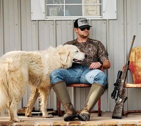 .375 Holland & Holland Magnum for Christensen Arms Evoke Rifle Line