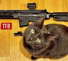 POTD: Suppressors, Swiss Precision, and One Tactical Cat