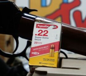 the rimfire report aguila super extra short 29gr compact power