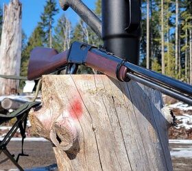 the rimfire report aguila super extra short 29gr compact power