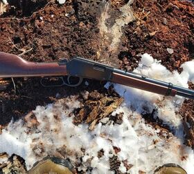 the rimfire report aguila super extra short 29gr compact power