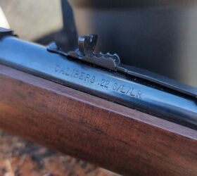 the rimfire report aguila super extra short 29gr compact power