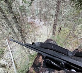 Fudd Friday: Buying A Gun For Black Bear Hunting