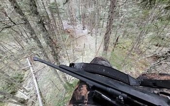 Fudd Friday: Buying A Gun For Black Bear Hunting