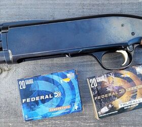 fudd friday buying a gun for black bear hunting, Big heavy slugs from a shotgun will easily kill a black bear but I don t know anyone who recommends buckshot Zac K