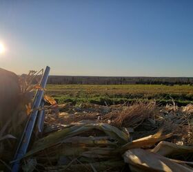 fudd friday what shotgun gauge for what hunting season, The big bore 10 gauge is king of the goose fields Zac K