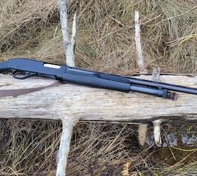 Fudd Friday: Stevens 320 20-Gauge Is A Fun Budget Field Shotgun