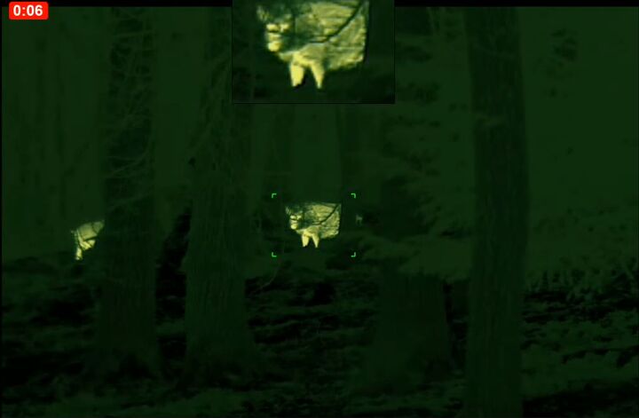 tfb review the pulsar oryx xg35 lrf thermal monocular