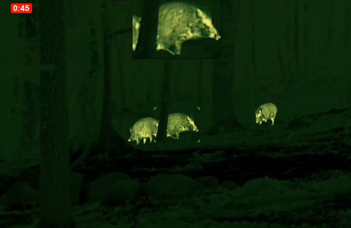 tfb review the pulsar oryx xg35 lrf thermal monocular