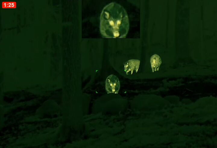 tfb review the pulsar oryx xg35 lrf thermal monocular