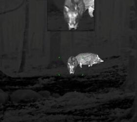 tfb review the pulsar oryx xg35 lrf thermal monocular