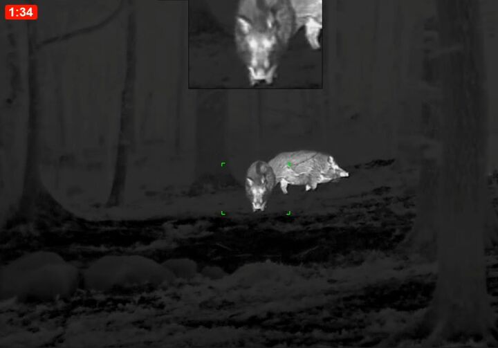 tfb review the pulsar oryx xg35 lrf thermal monocular