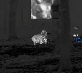 tfb review the pulsar oryx xg35 lrf thermal monocular