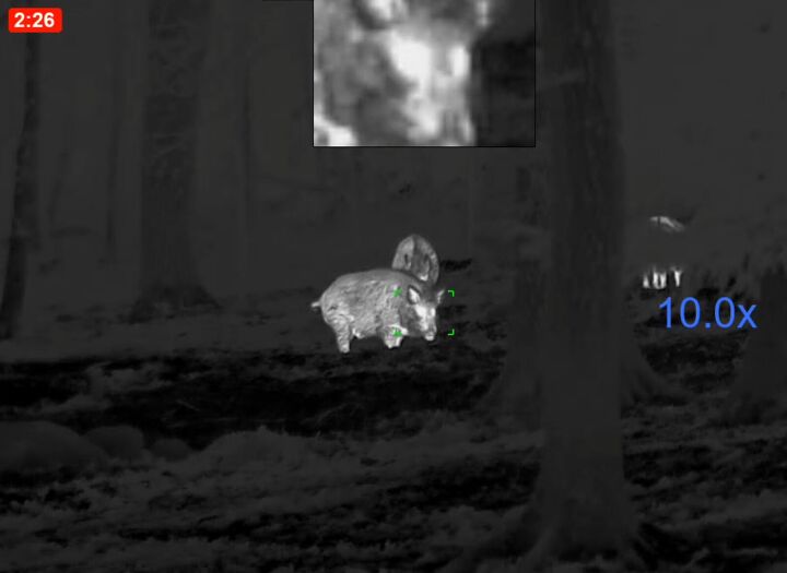 tfb review the pulsar oryx xg35 lrf thermal monocular