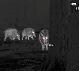 tfb review the pulsar oryx xg35 lrf thermal monocular