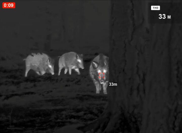 tfb review the pulsar oryx xg35 lrf thermal monocular