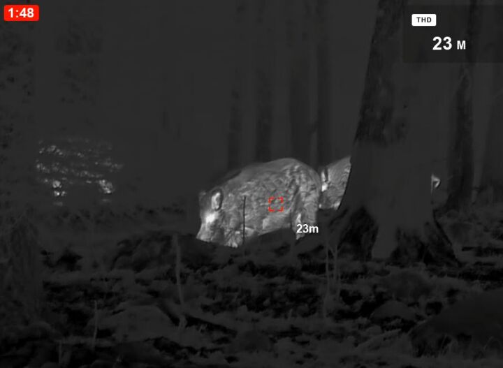 tfb review the pulsar oryx xg35 lrf thermal monocular