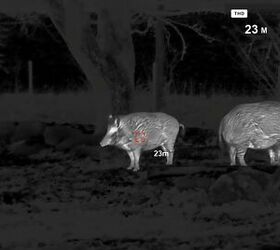 tfb review the pulsar oryx xg35 lrf thermal monocular
