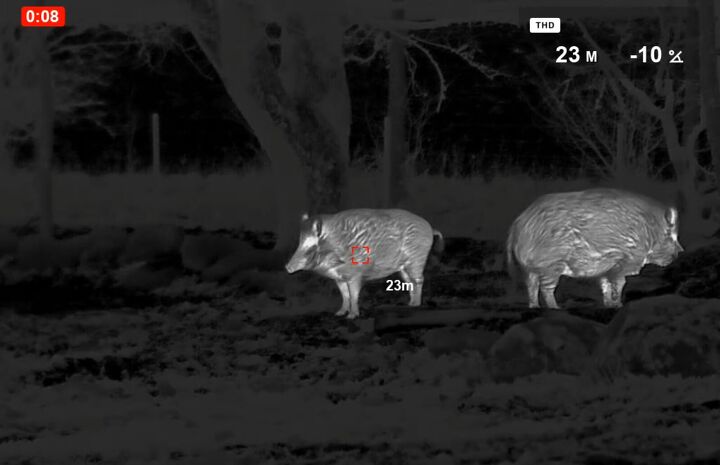 tfb review the pulsar oryx xg35 lrf thermal monocular