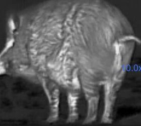 tfb review the pulsar oryx xg35 lrf thermal monocular