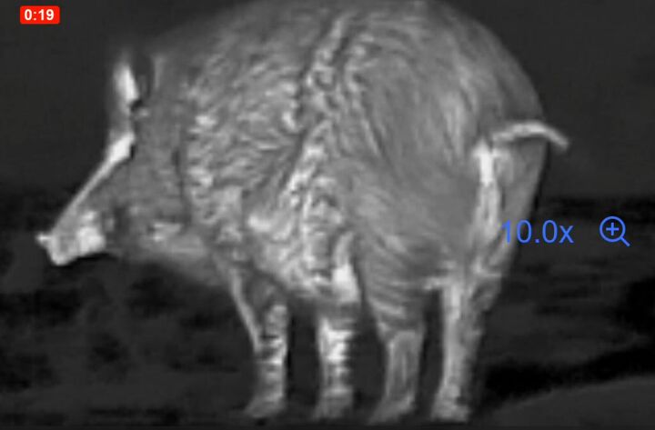 tfb review the pulsar oryx xg35 lrf thermal monocular