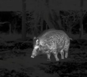 tfb review the pulsar oryx xg35 lrf thermal monocular