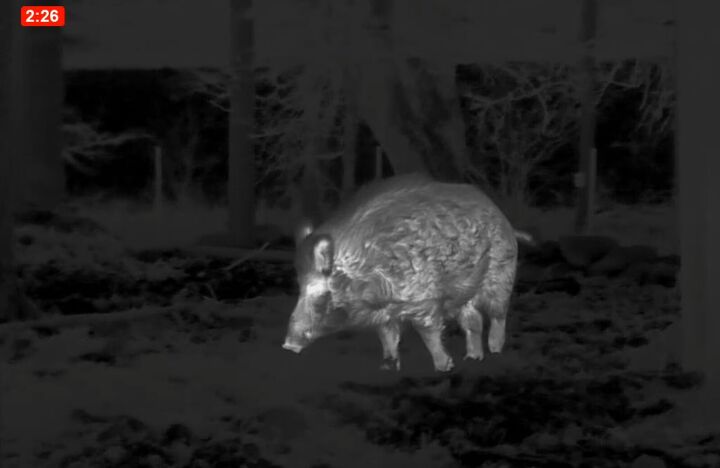 tfb review the pulsar oryx xg35 lrf thermal monocular