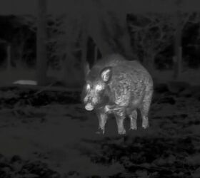tfb review the pulsar oryx xg35 lrf thermal monocular