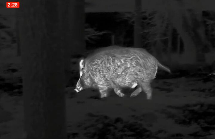 tfb review the pulsar oryx xg35 lrf thermal monocular