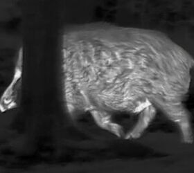tfb review the pulsar oryx xg35 lrf thermal monocular
