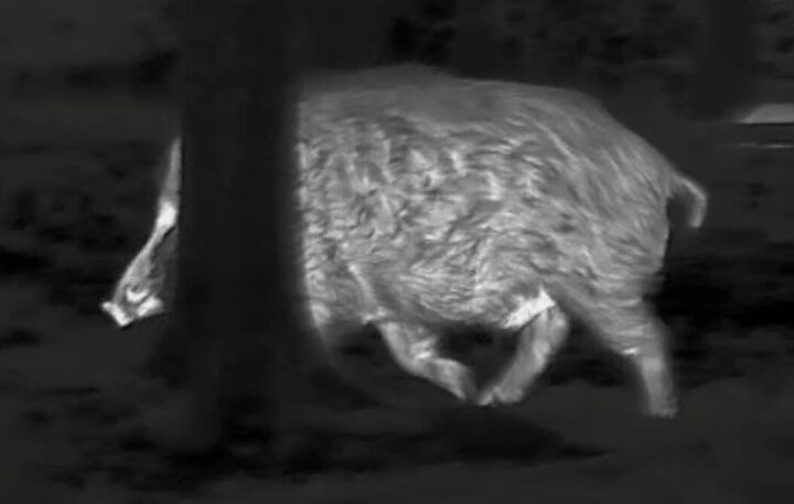 tfb review the pulsar oryx xg35 lrf thermal monocular