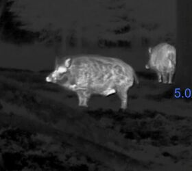 tfb review the pulsar oryx xg35 lrf thermal monocular
